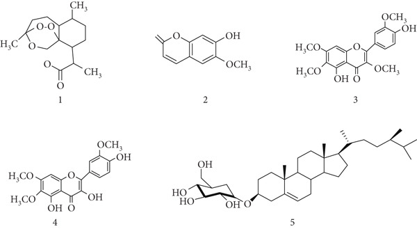 PMC12864545 – fig-0003
