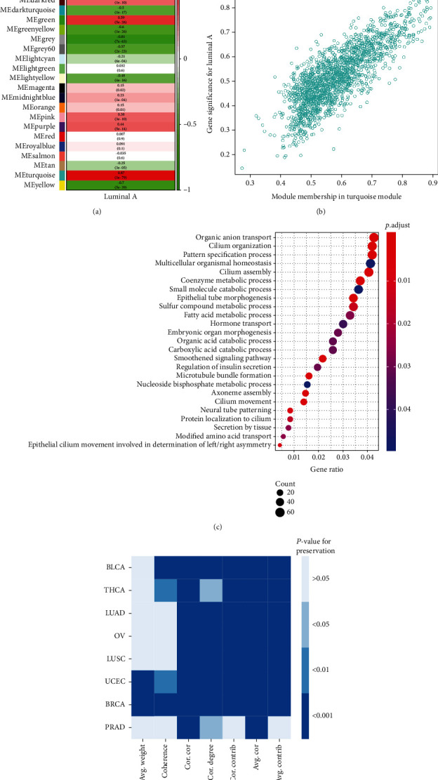 PMC8635877 – fig4