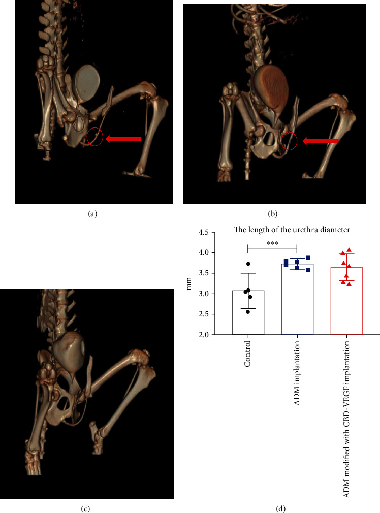 PMC8536433 – fig2