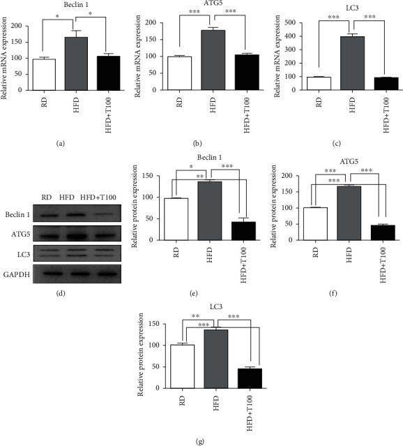 PMC8219437 – fig4