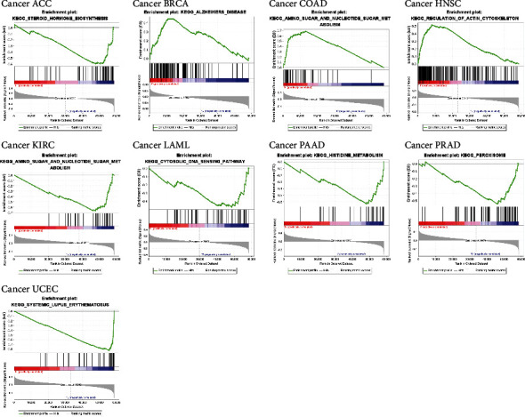 PMC8890892 – fig11