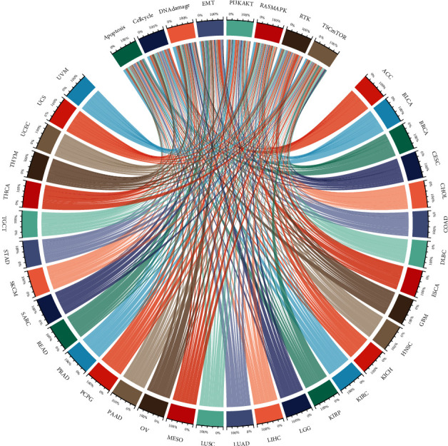 PMC8890892 – fig12