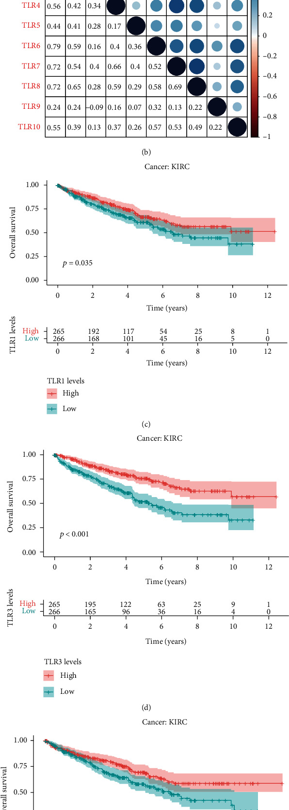 PMC9352480 – fig3