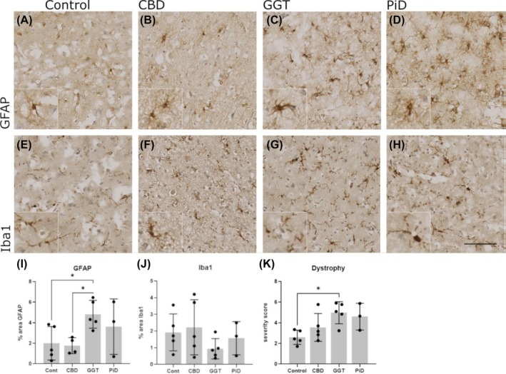 PMC12488255 – bpa70017-fig-0002