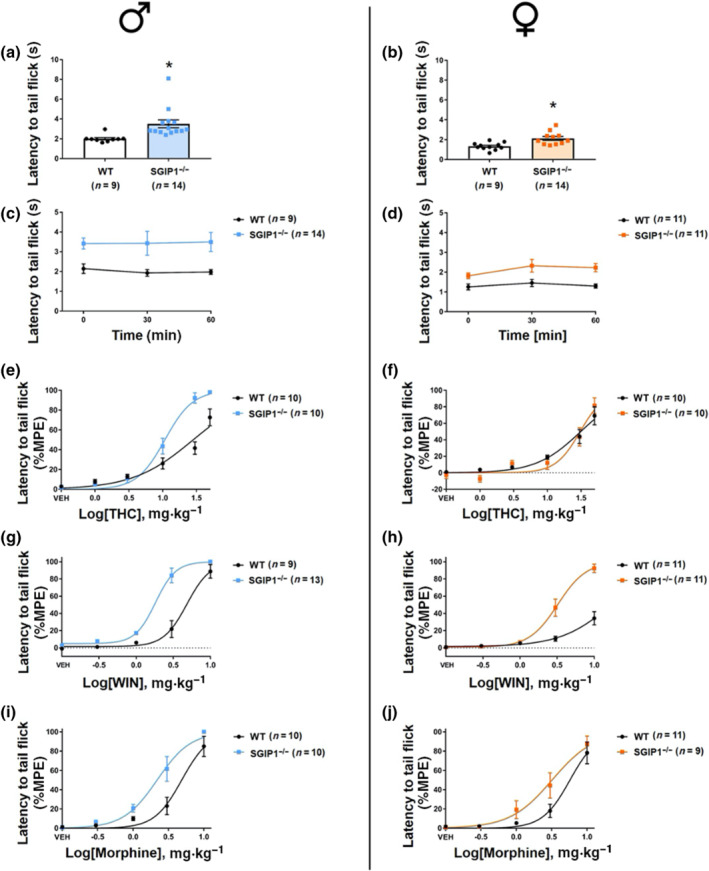 PMC8795748 – bph15383-fig-0004