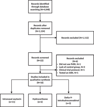 PMC10726808 – brb33292-fig-0001