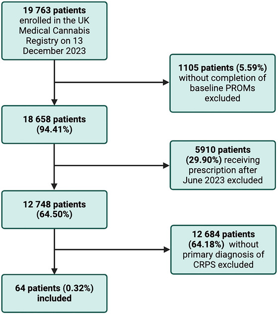 PMC12405601 – brb370823-fig-0001