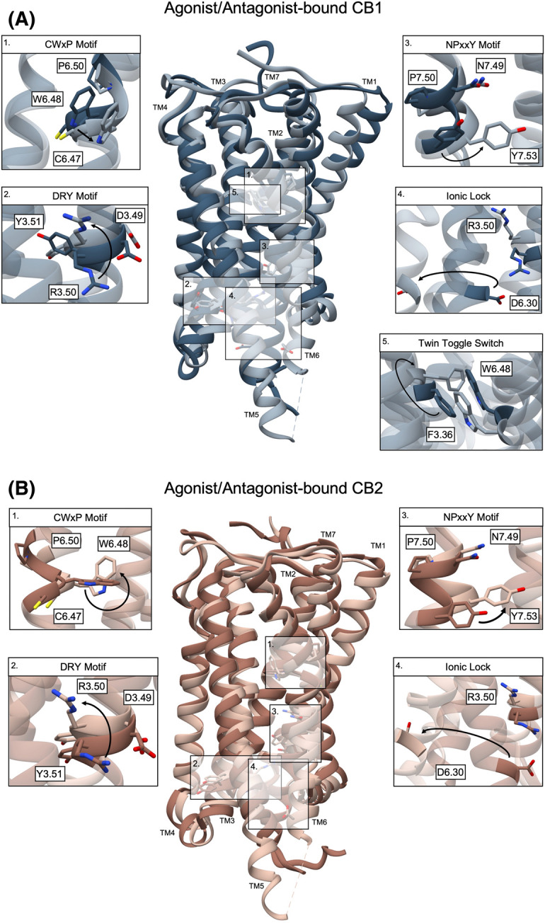 PMC10586759 – BST-51-1533F2