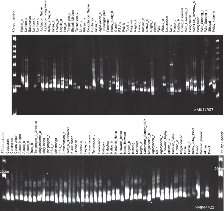 PMC11748220 – f0002