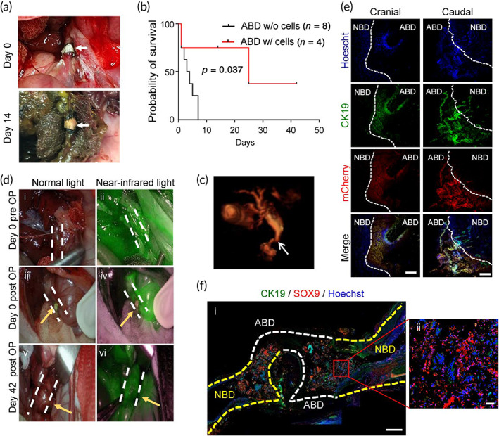PMC8780056 – btm210252-fig-0007