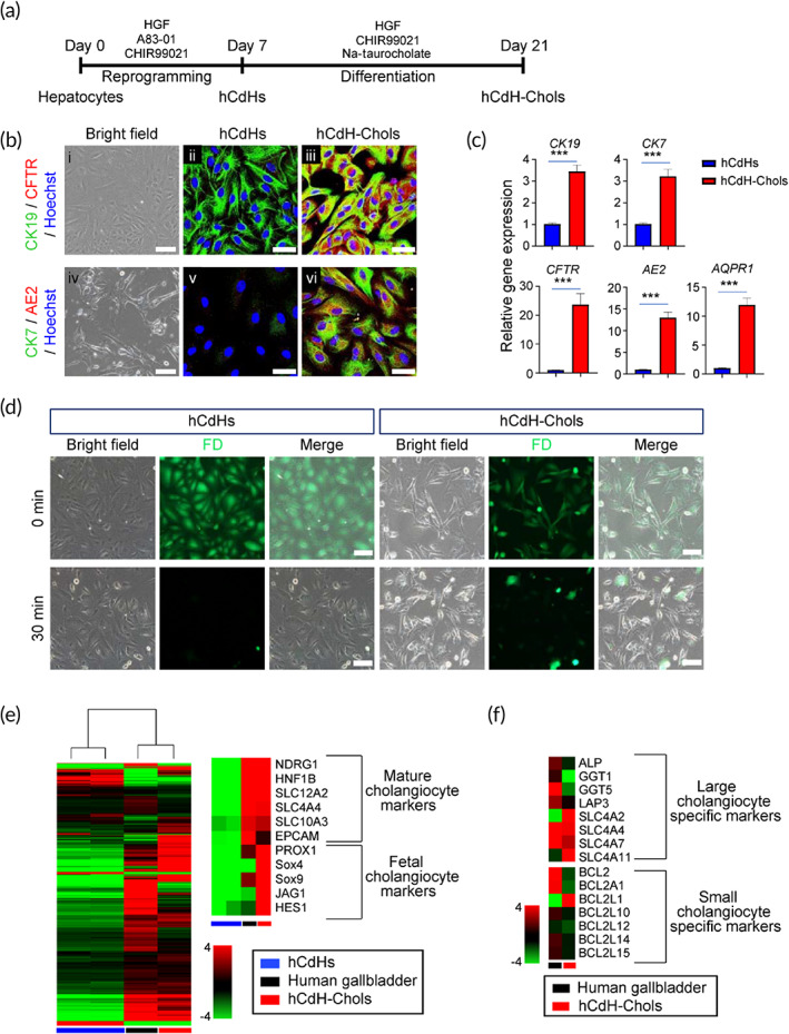 PMC8780056 – btm210252-fig-0003