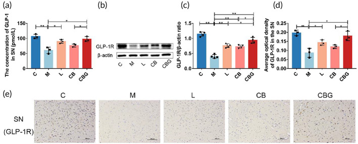 PMC10189449 – btm210505-fig-0004