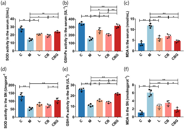 PMC10189449 – btm210505-fig-0006