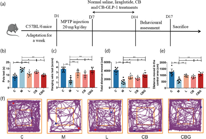 PMC10189449 – btm210505-fig-0002