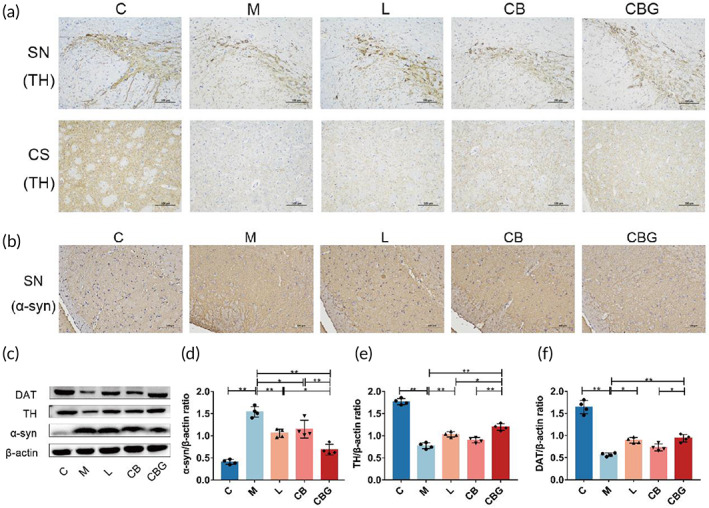 PMC10189449 – btm210505-fig-0003