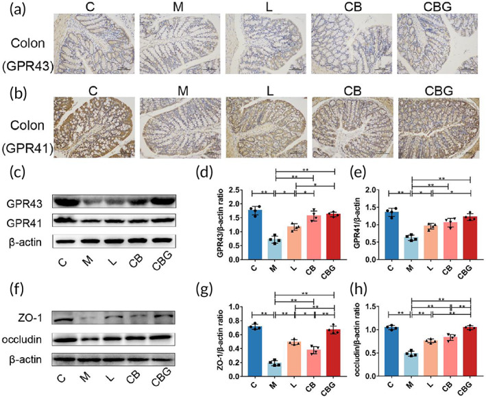 PMC10189449 – btm210505-fig-0008