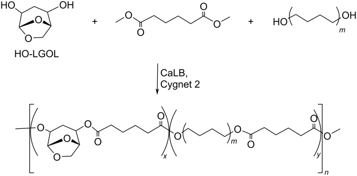 PMC12536473 – C153
