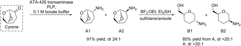 PMC12536473 – C155