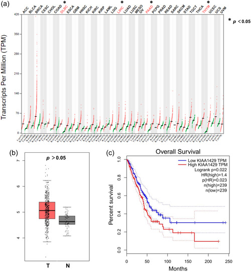 PMC10686173 – cai240-fig-0001