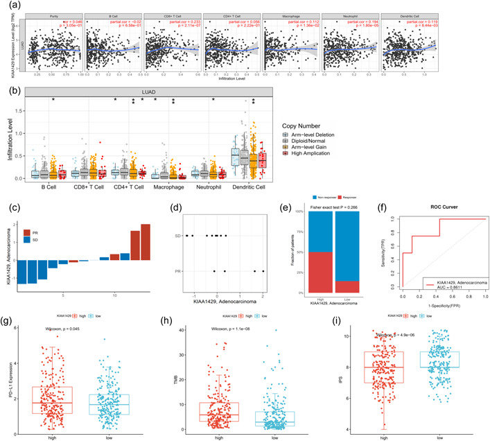 PMC10686173 – cai240-fig-0004