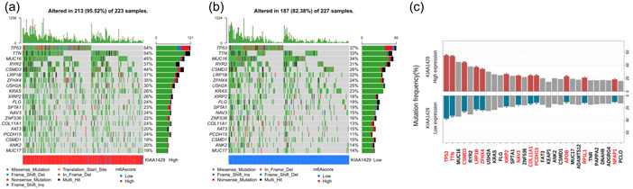 PMC10686173 – cai240-fig-0002