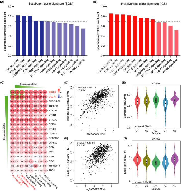 PMC8178503 – cam43902-fig-0004