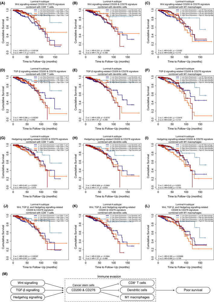 PMC8178503 – cam43902-fig-0005