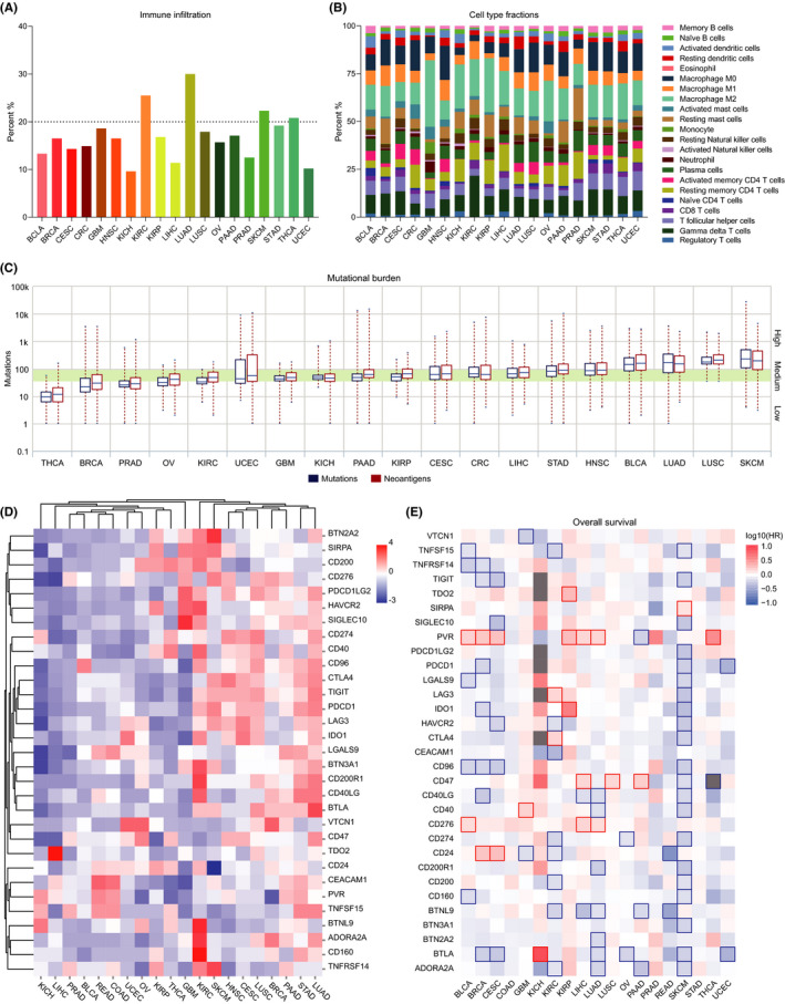 PMC8178503 – cam43902-fig-0001