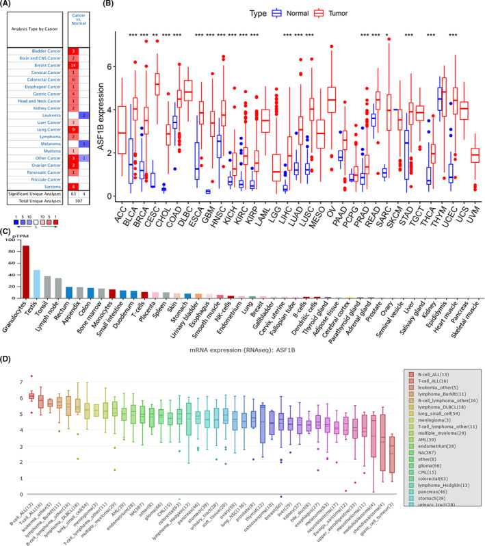 PMC8495294 – cam44203-fig-0001