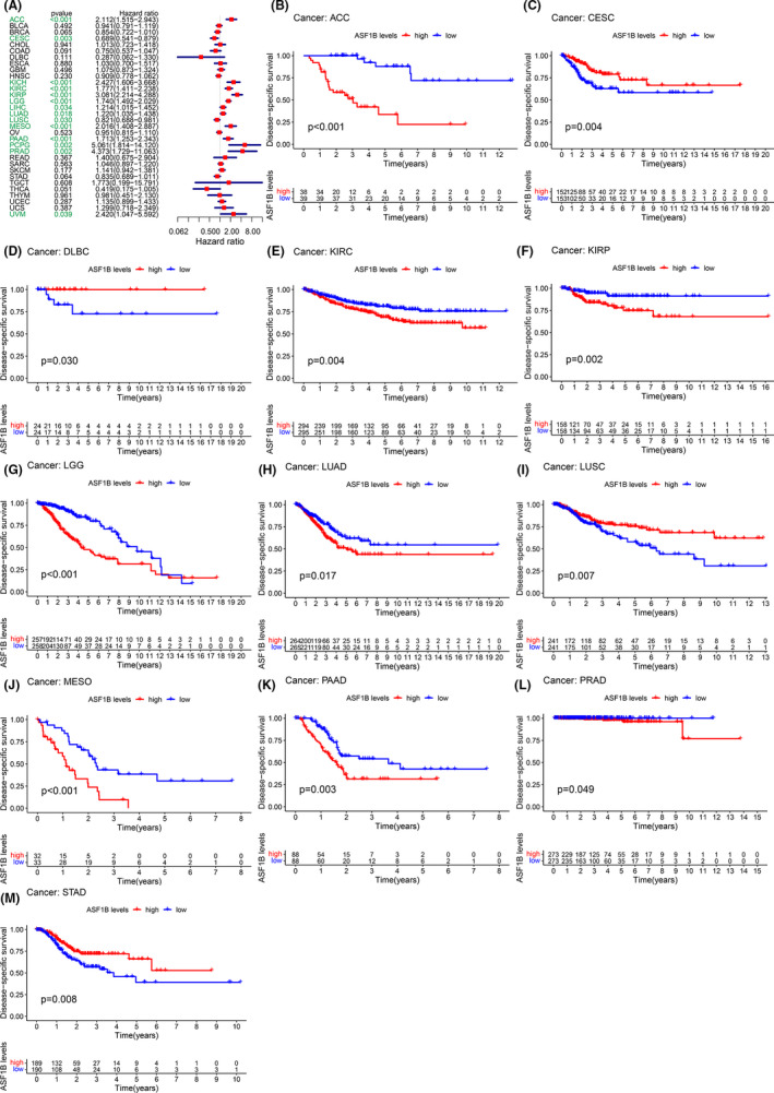 PMC8495294 – cam44203-fig-0003