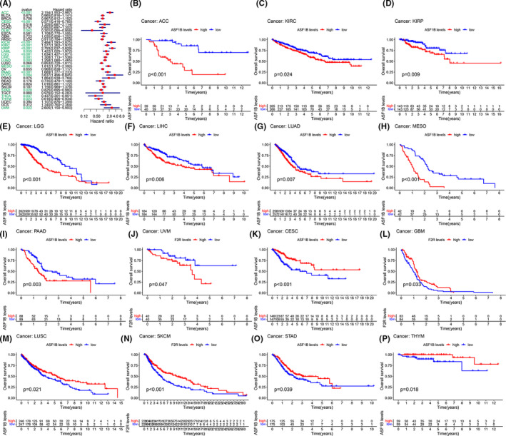 PMC8495294 – cam44203-fig-0002