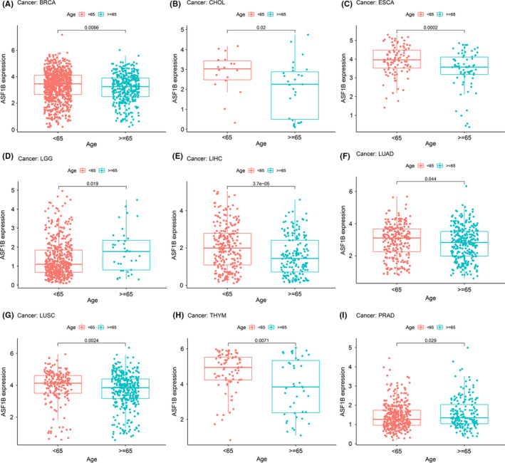 PMC8495294 – cam44203-fig-0006