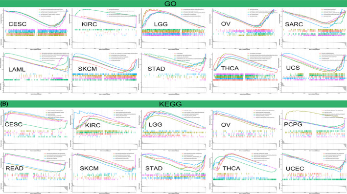 PMC8495294 – cam44203-fig-0013