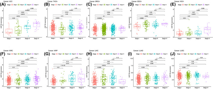 PMC8495294 – cam44203-fig-0007