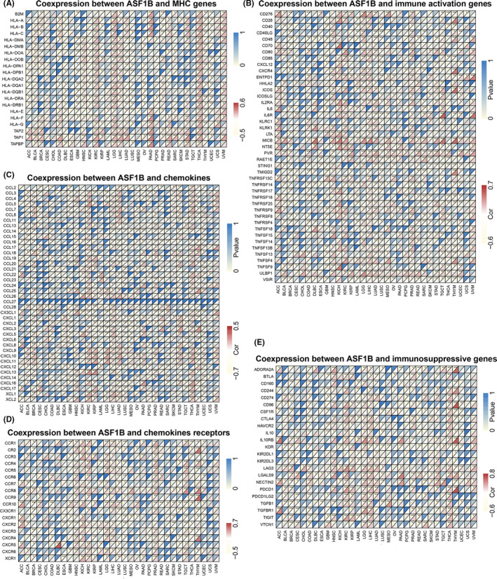PMC8495294 – cam44203-fig-0012