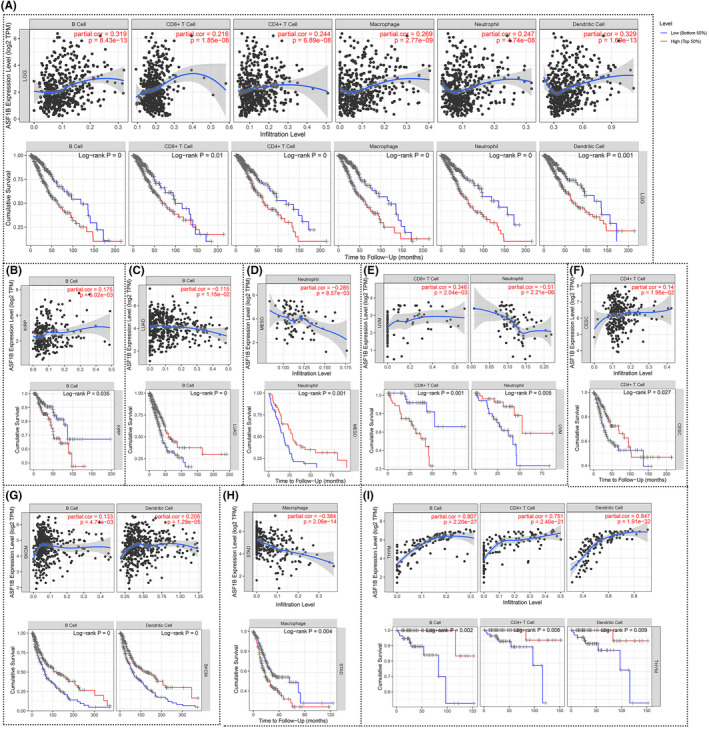 PMC8495294 – cam44203-fig-0010