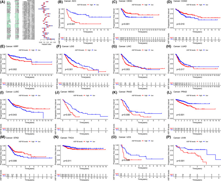PMC8495294 – cam44203-fig-0005