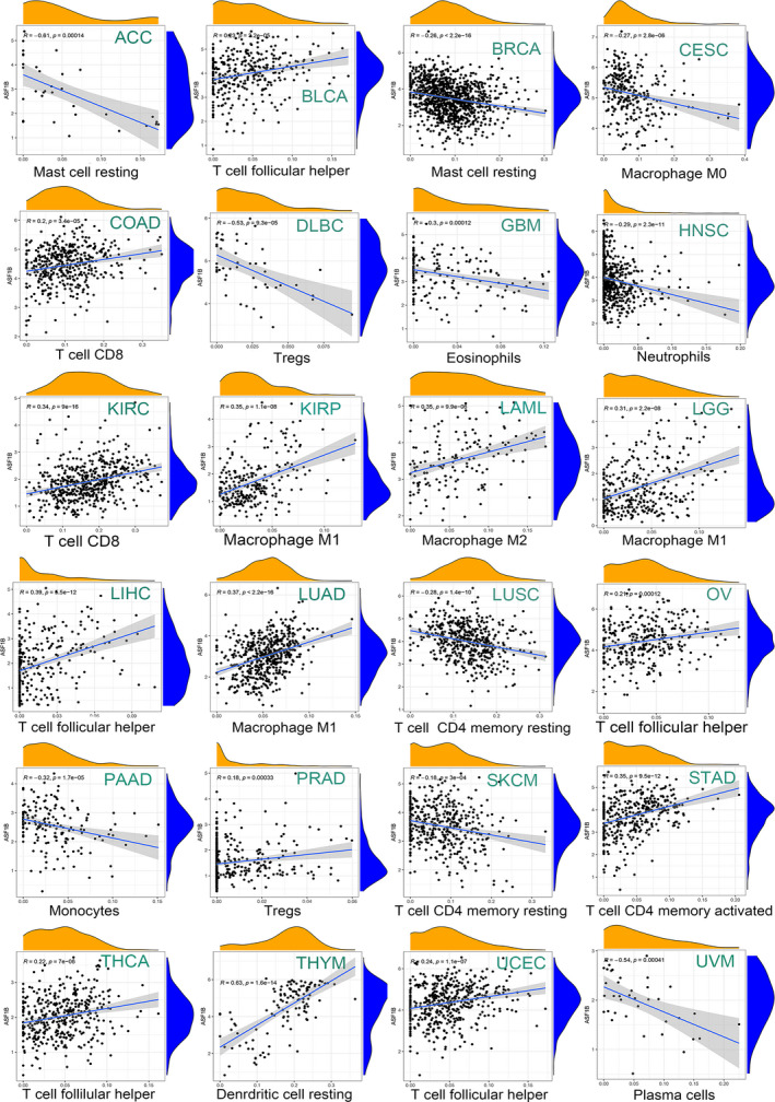 PMC8495294 – cam44203-fig-0011