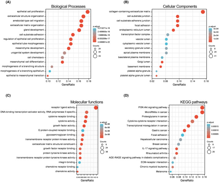 PMC9741981 – cam44836-fig-0003
