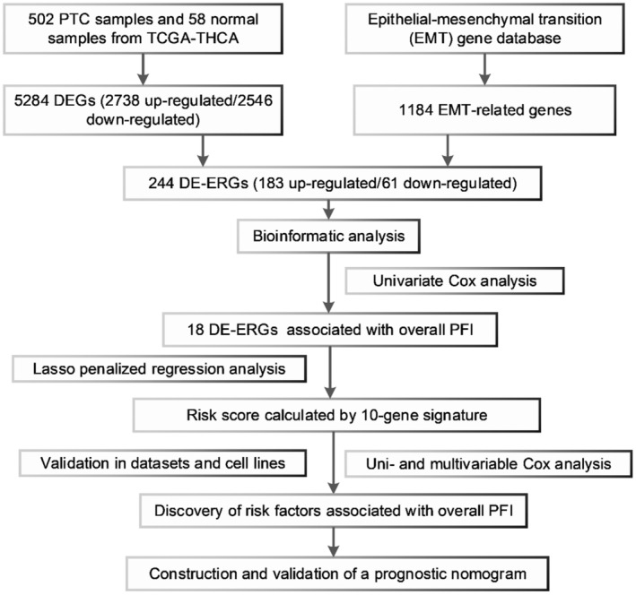 PMC9741981 – cam44836-fig-0001