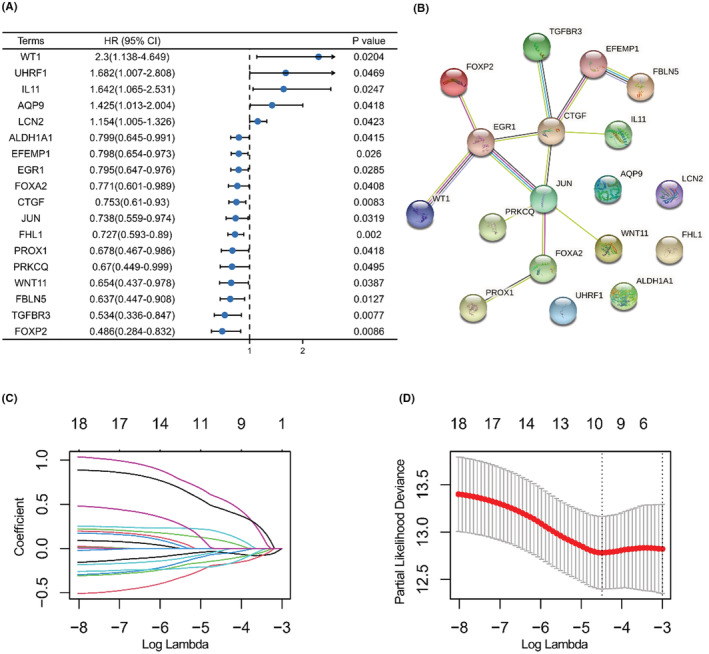 PMC9741981 – cam44836-fig-0004