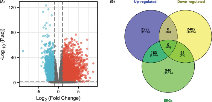 PMC9741981 – cam44836-fig-0002