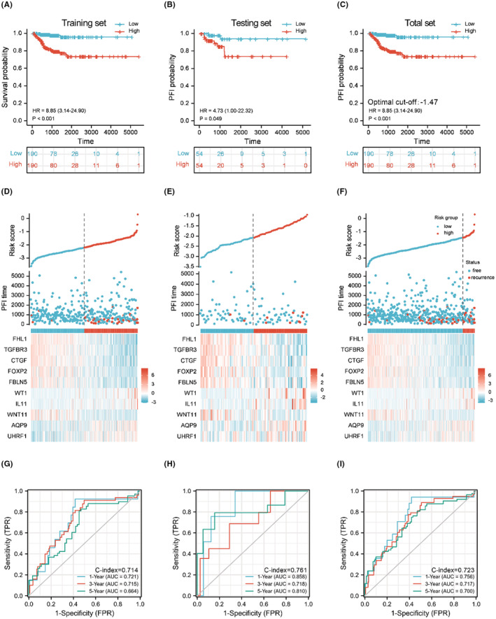PMC9741981 – cam44836-fig-0005