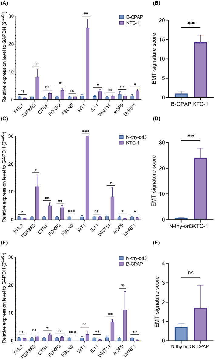 PMC9741981 – cam44836-fig-0007