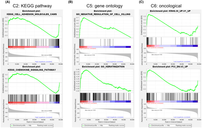 PMC9741981 – cam44836-fig-0006
