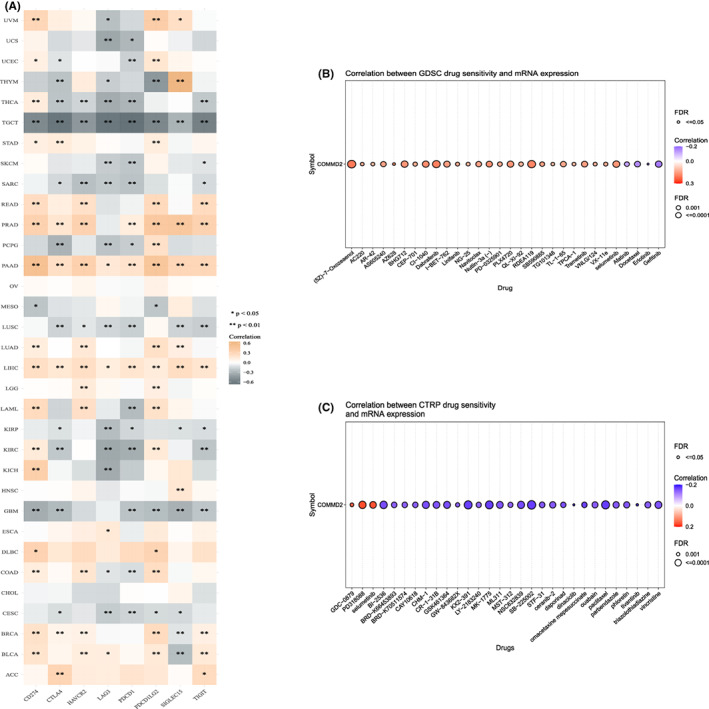 PMC10242316 – cam45320-fig-0009