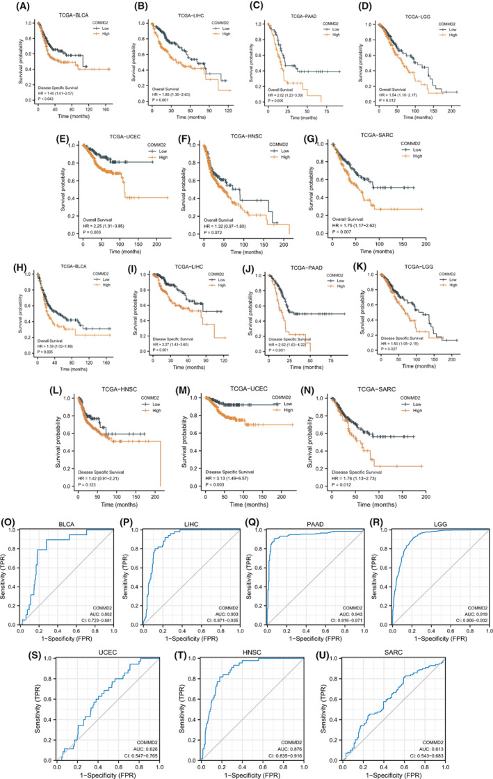 PMC10242316 – cam45320-fig-0003