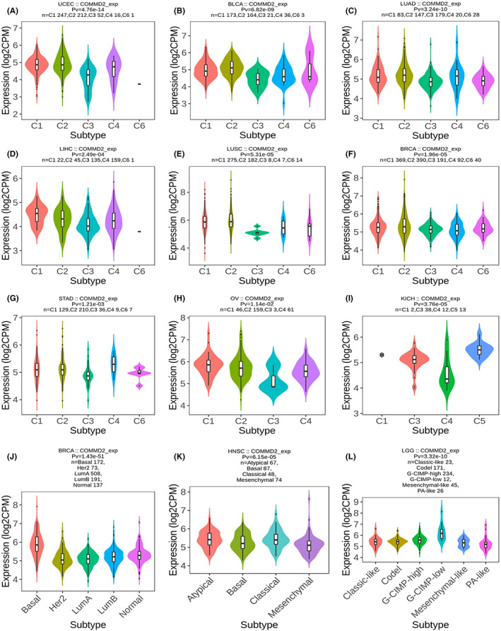 PMC10242316 – cam45320-fig-0005