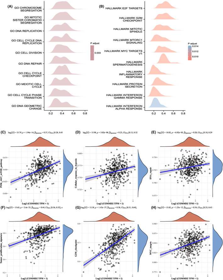 PMC10242316 – cam45320-fig-0010