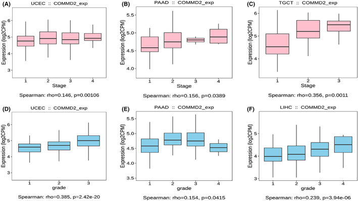 PMC10242316 – cam45320-fig-0004